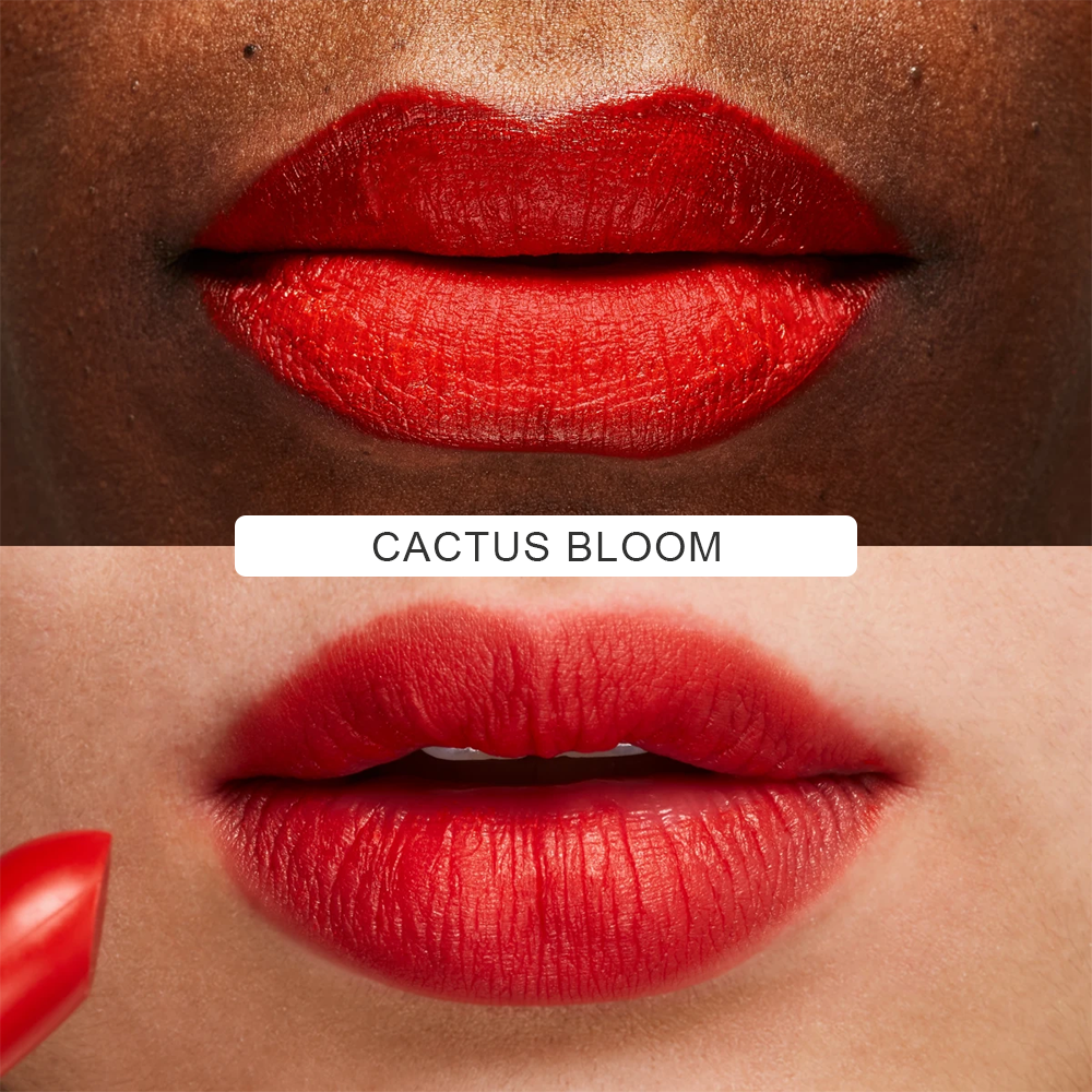 Fruit Pigmented® Cocoa Butter Matte Lipstick